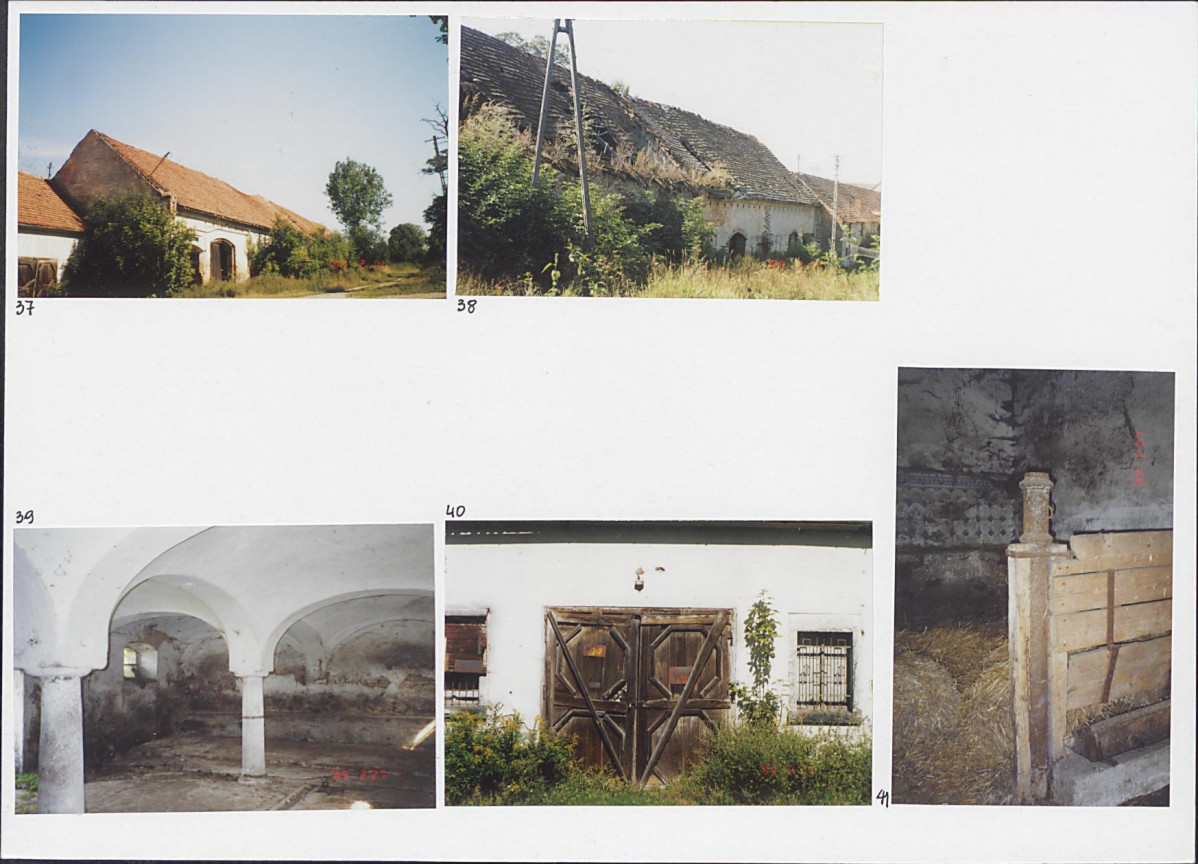 Karta biała, skan nr 16