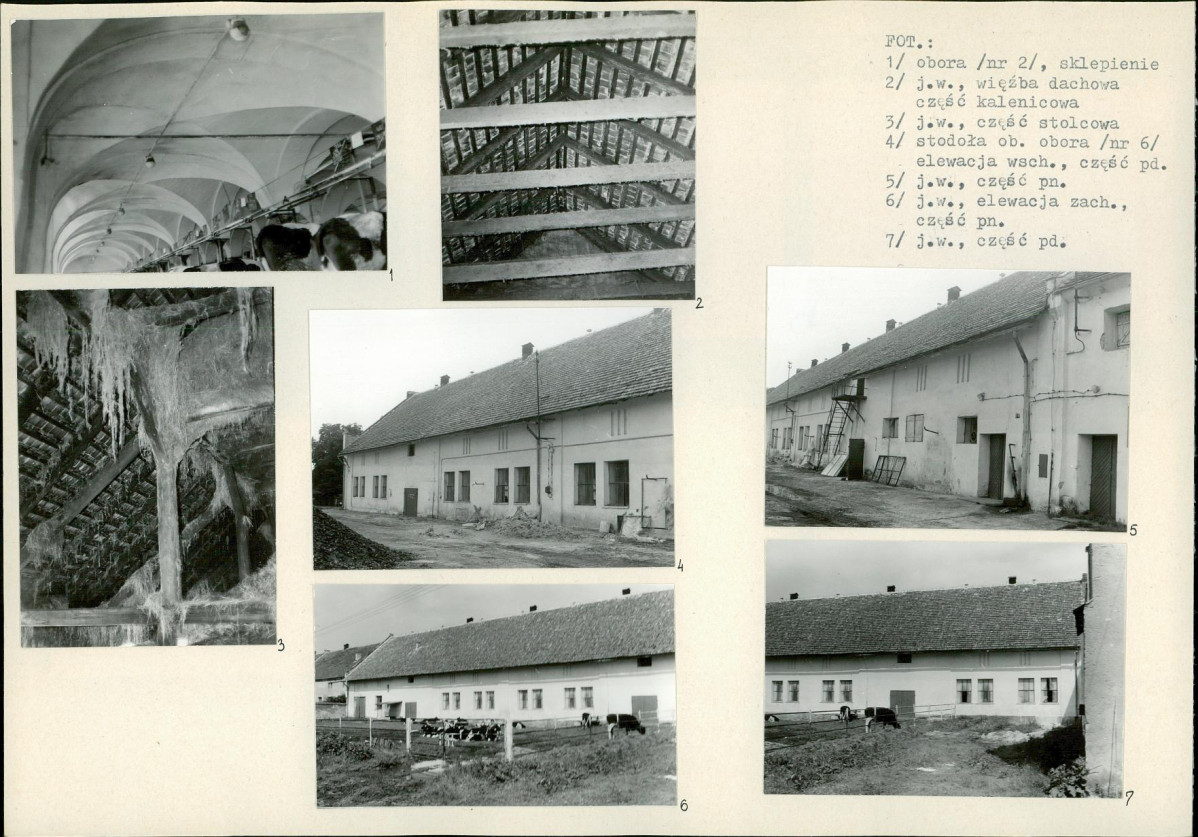 Karta biała, skan nr 19