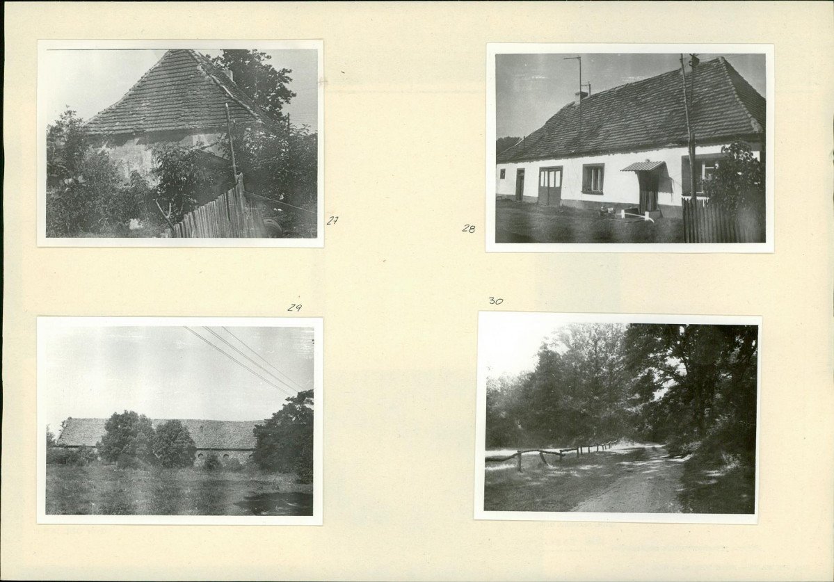 Karta biała, skan nr 14