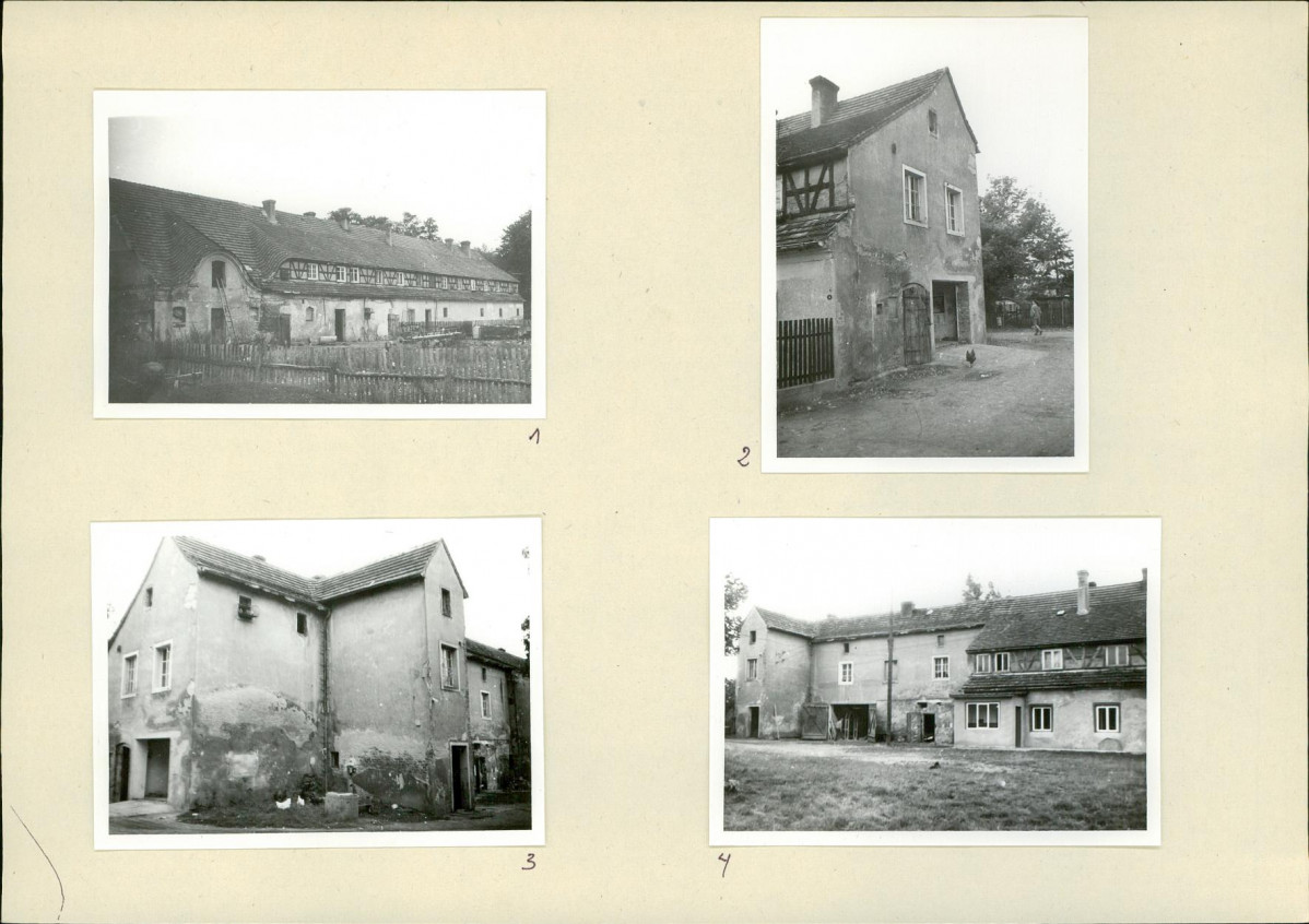 Karta biała, skan nr 19