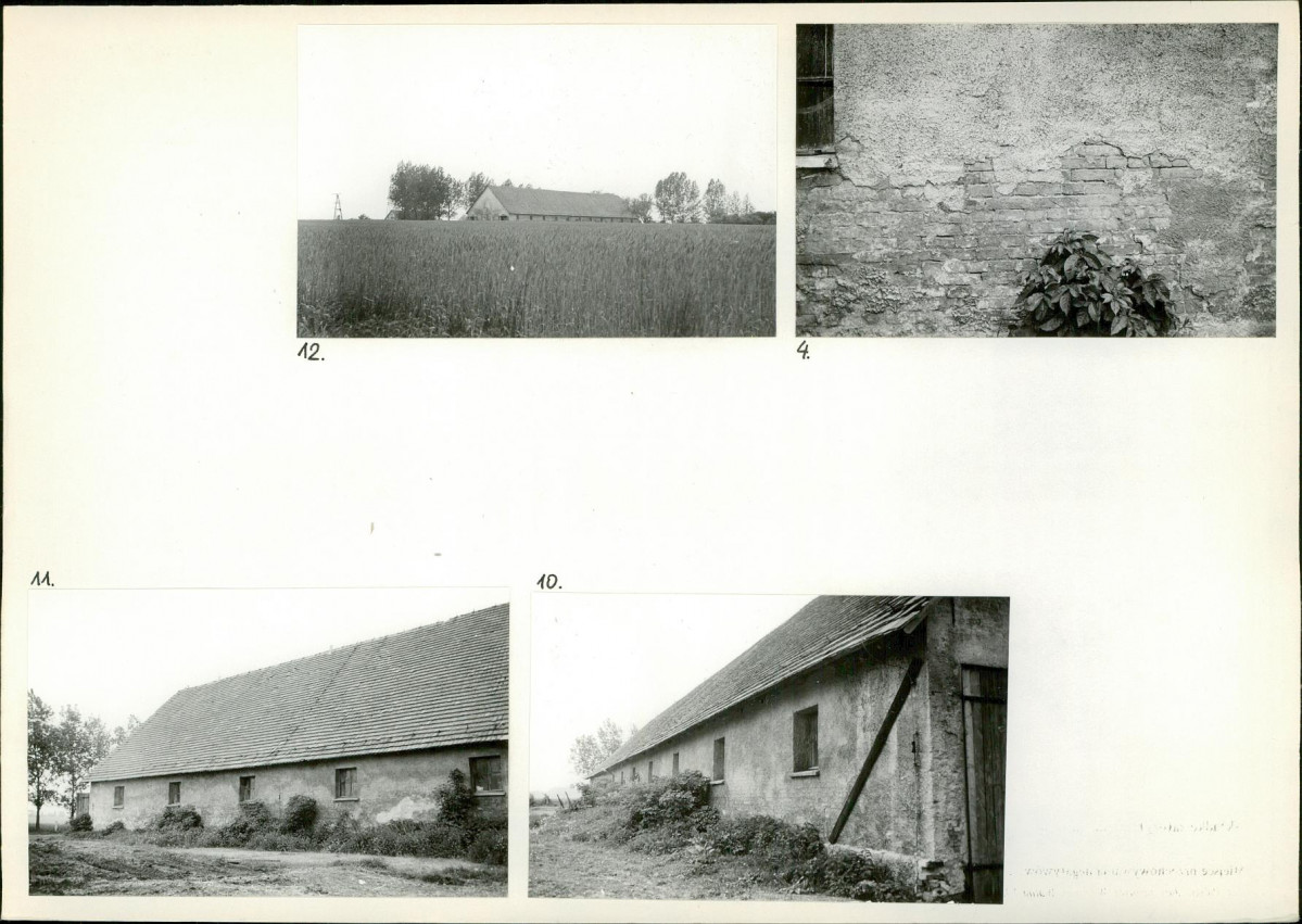 Karta biała, skan nr 10