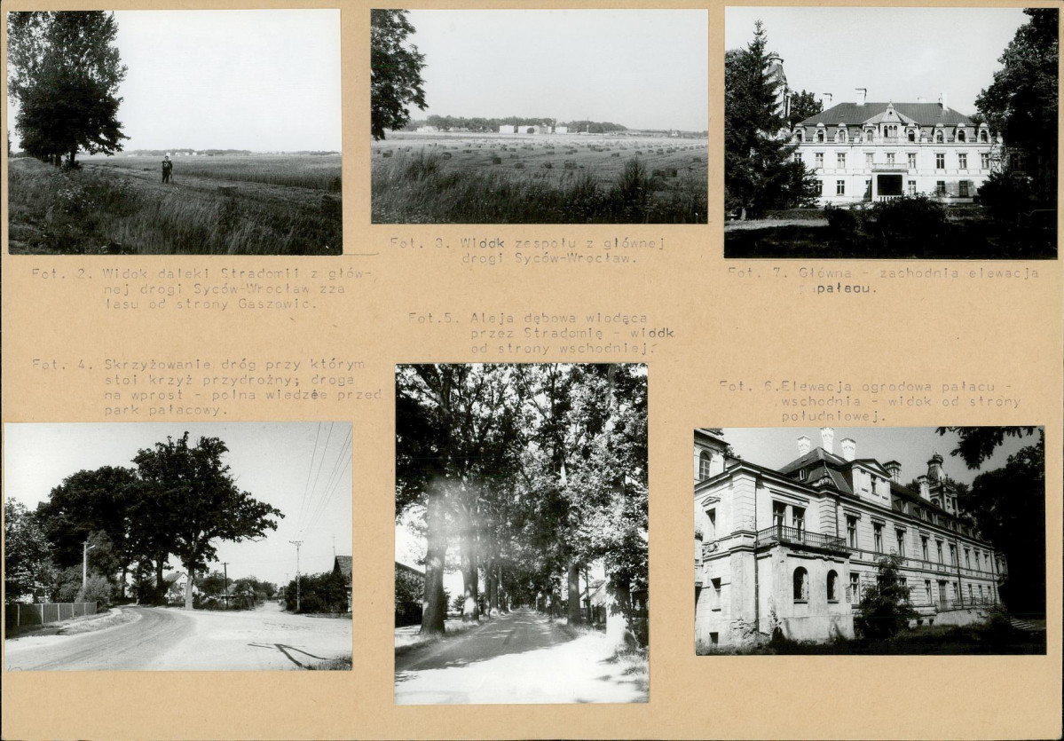 Karta biała, skan nr 6