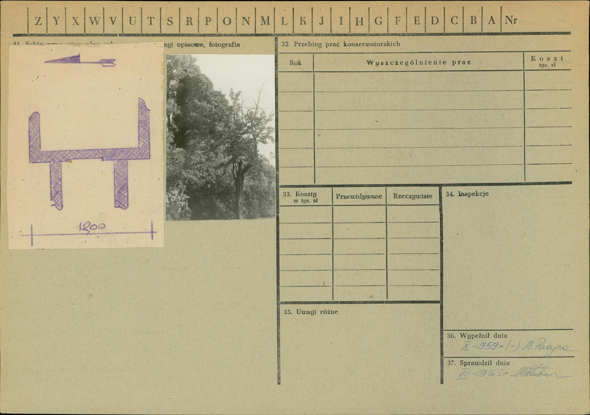 Karta zielona, skan nr 2