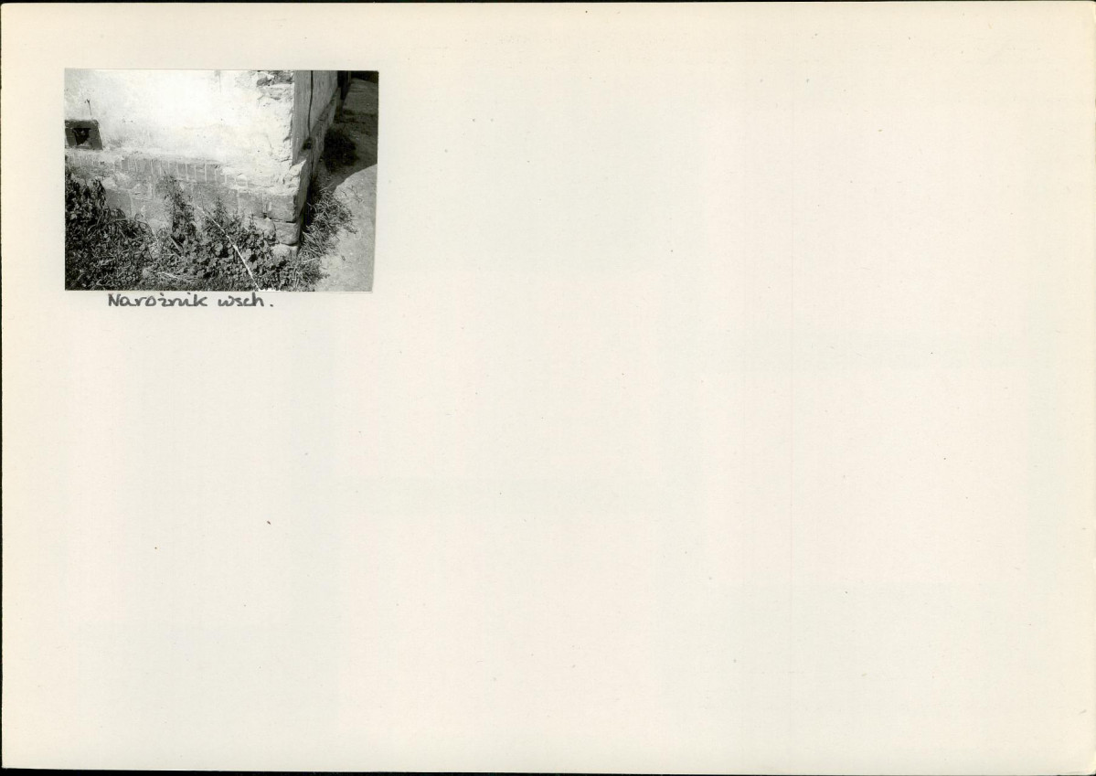 Karta biała, skan nr 6