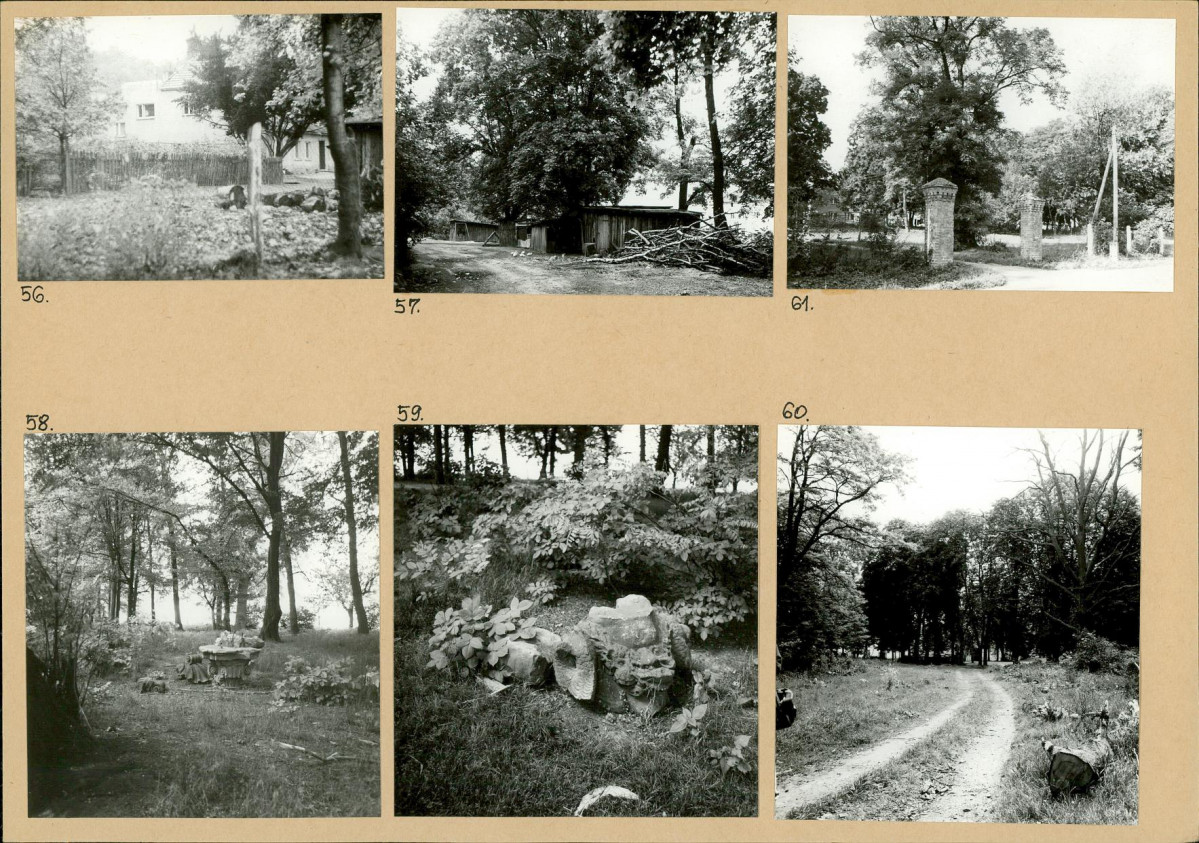 Karta biała, skan nr 22