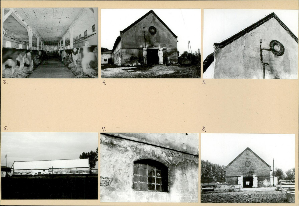 Karta biała, skan nr 6