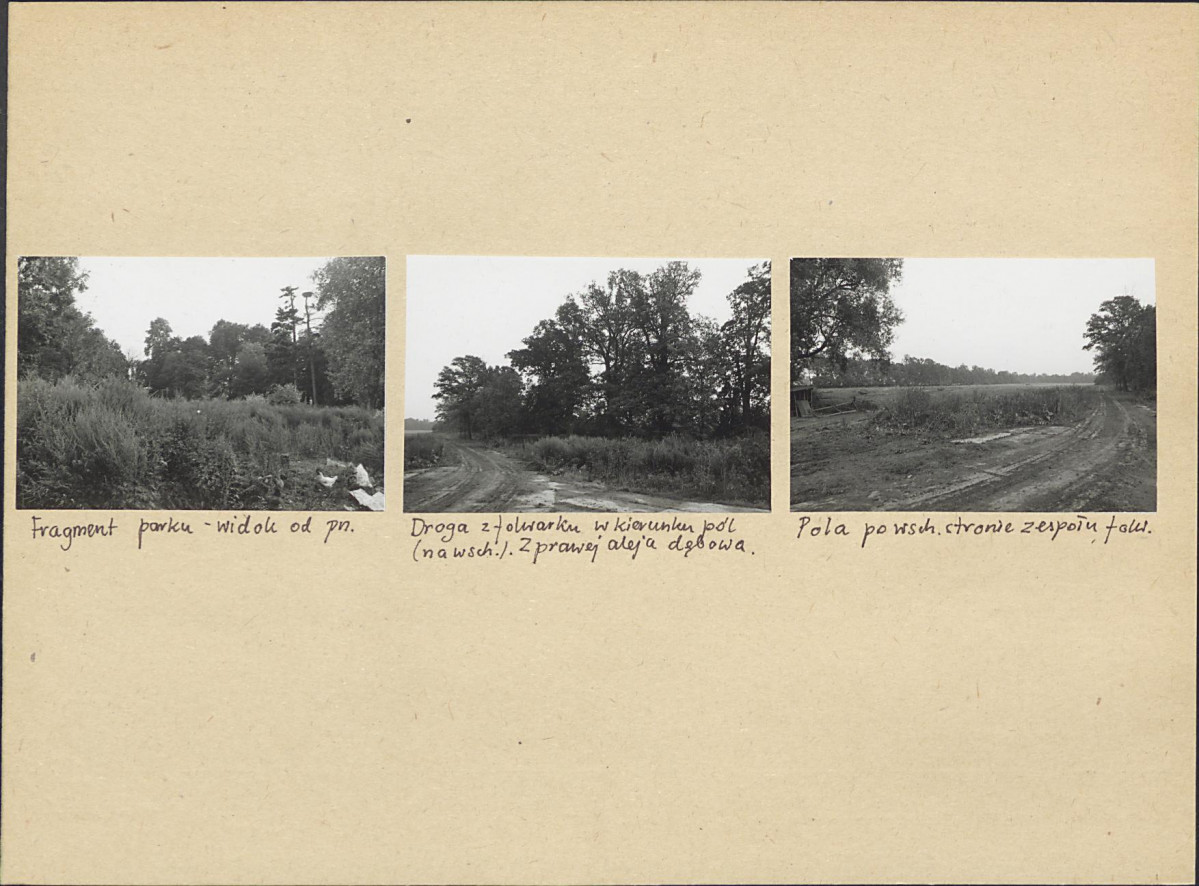 Karta biała, skan nr 8