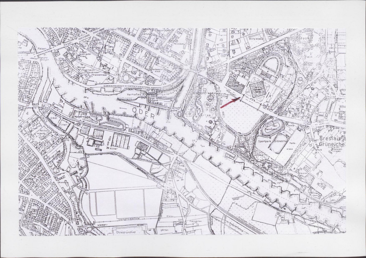 Karta biała, skan nr 6