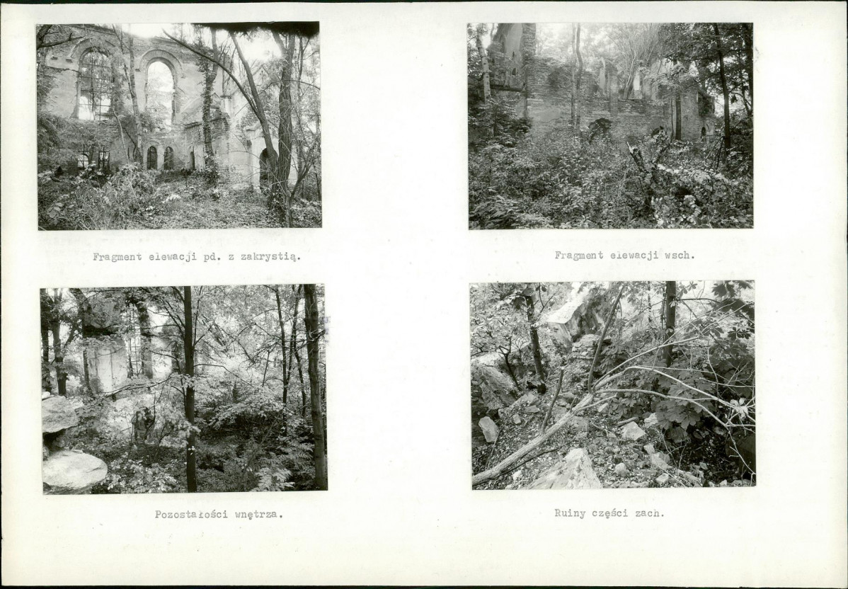 Karta biała, skan nr 6