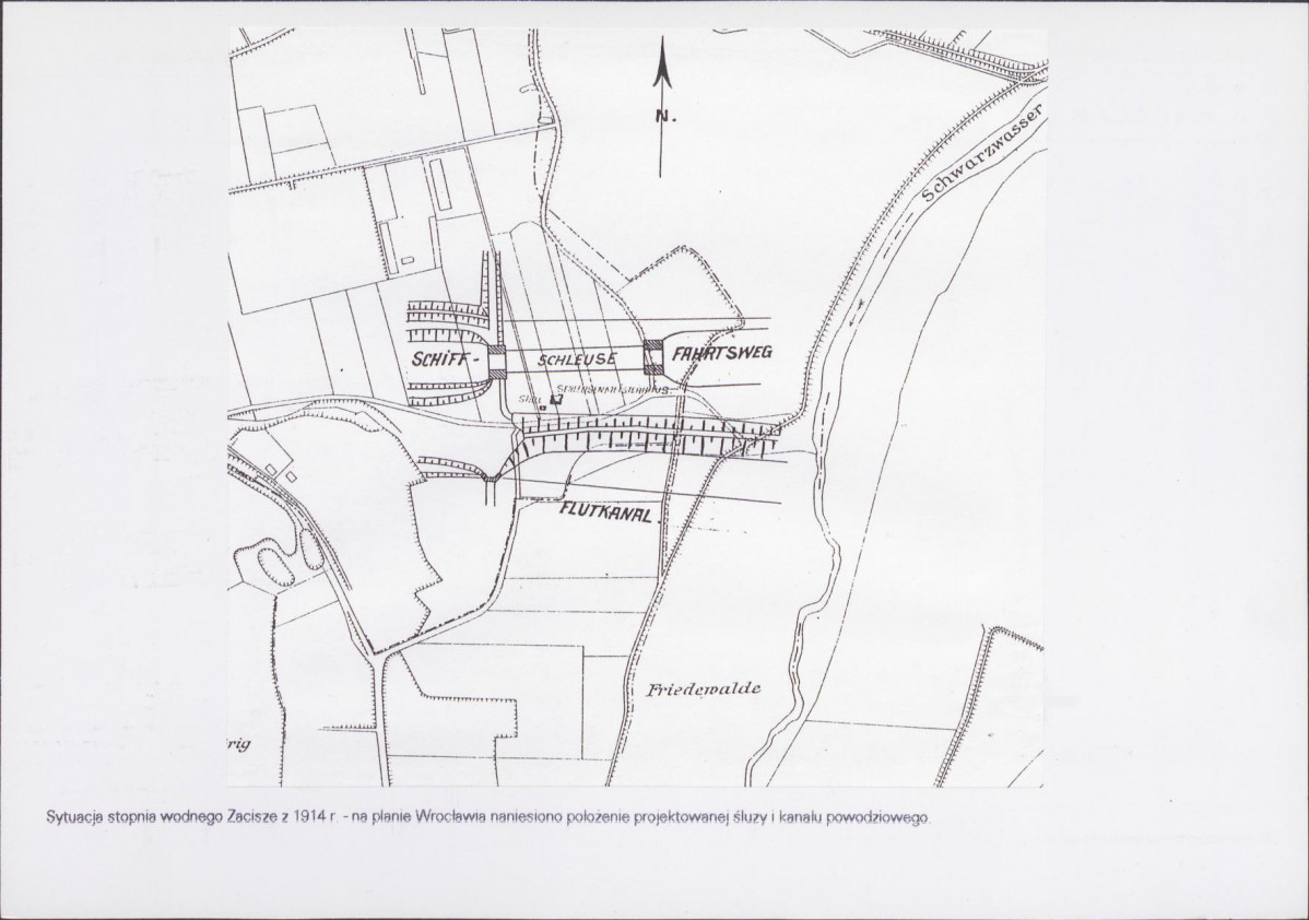Karta biała, skan nr 10