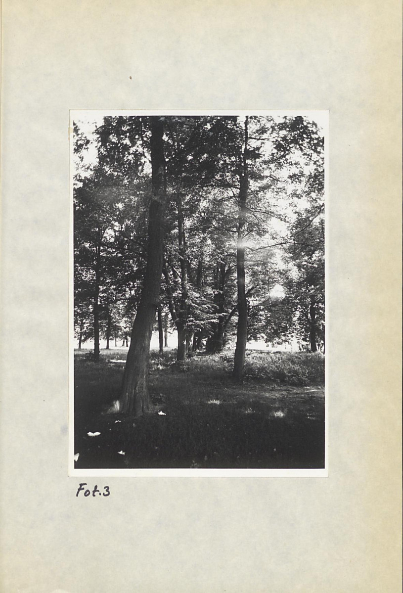 Ewidencja parkowa, skan nr 21
