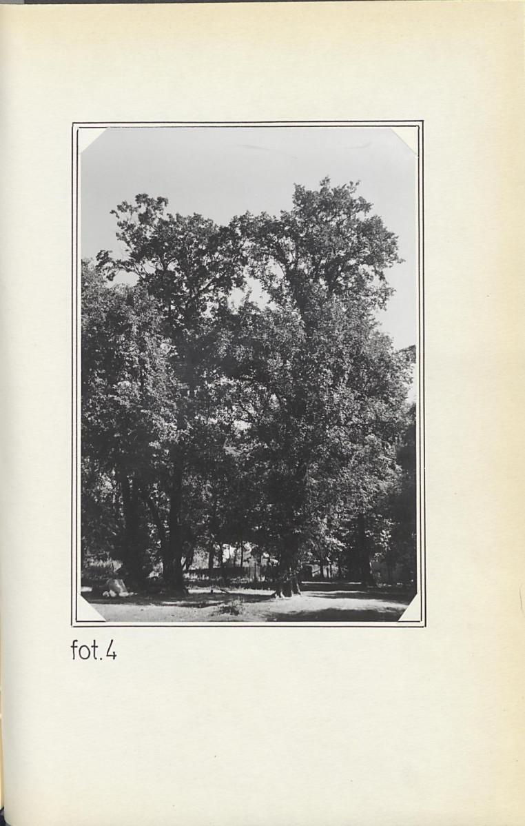 EP - Ewidencja parkowa, skan nr 23