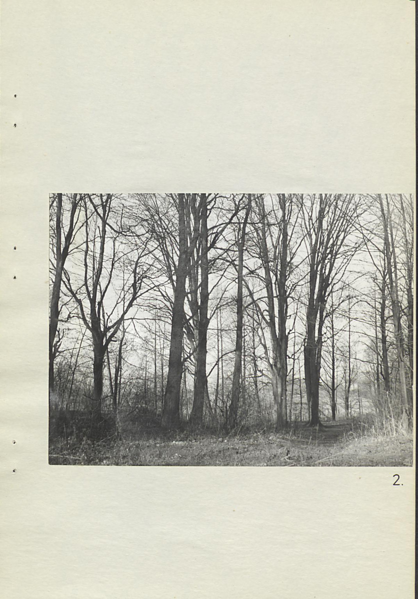 Ewidencja parkowa, skan nr 23