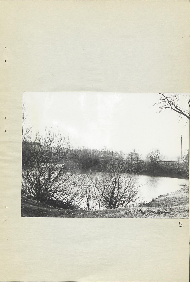 Ewidencja parkowa, skan nr 26