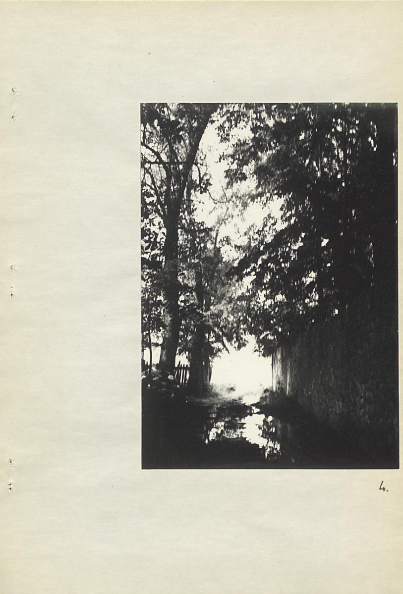 Ewidencja parkowa, skan nr 24
