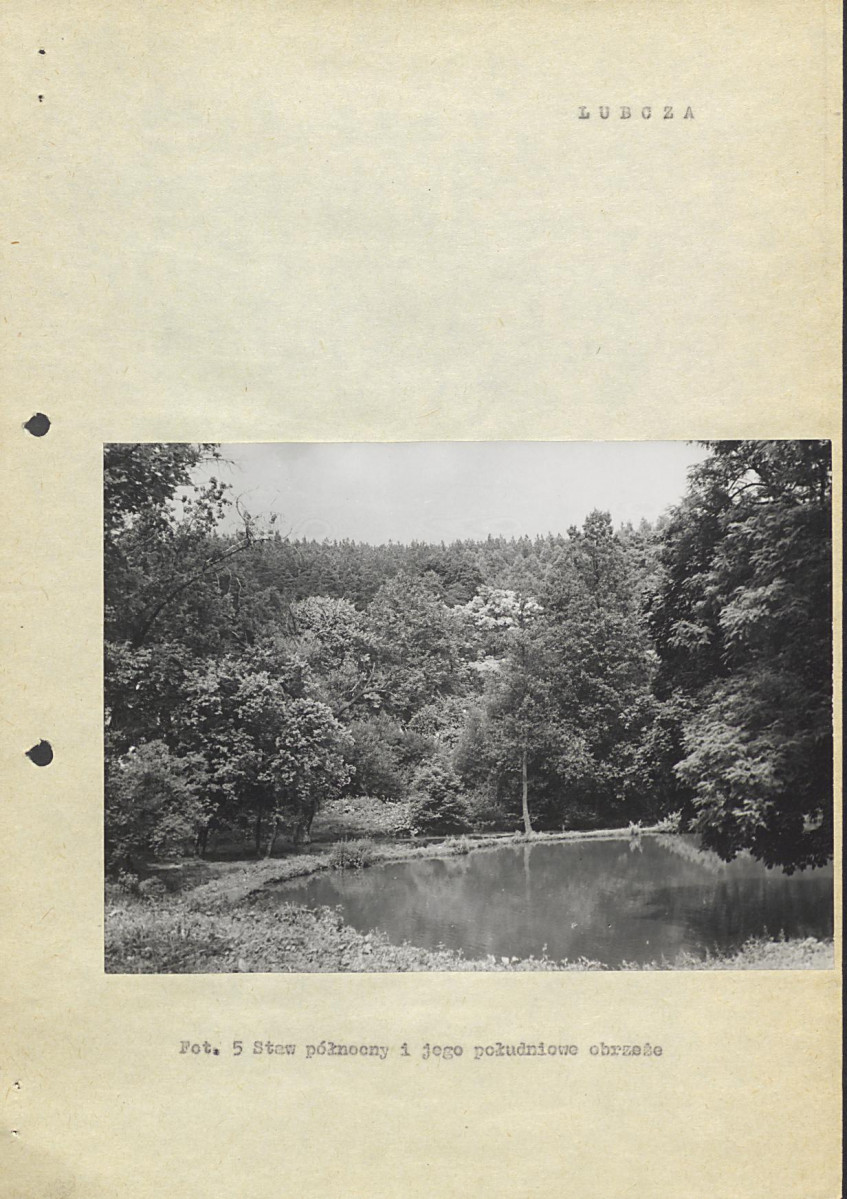 Ewidencja parkowa, skan nr 17