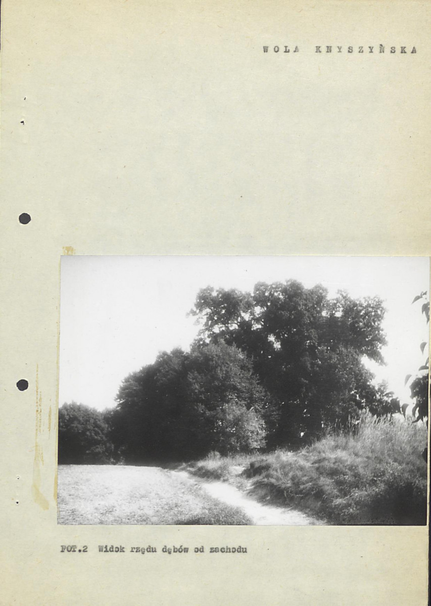 EP - Ewidencja parkowa, skan nr 11