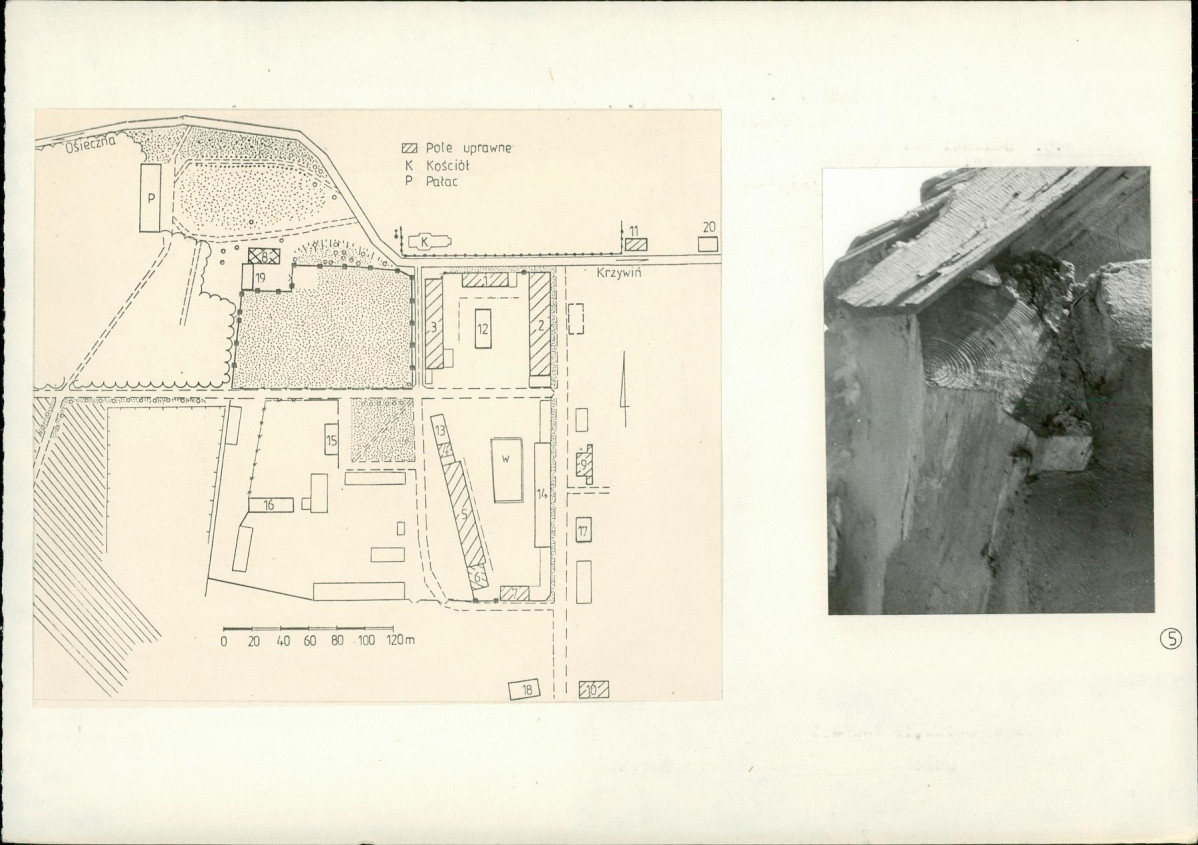 Karta biała, skan nr 6