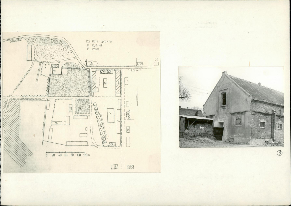 Karta biała, skan nr 6