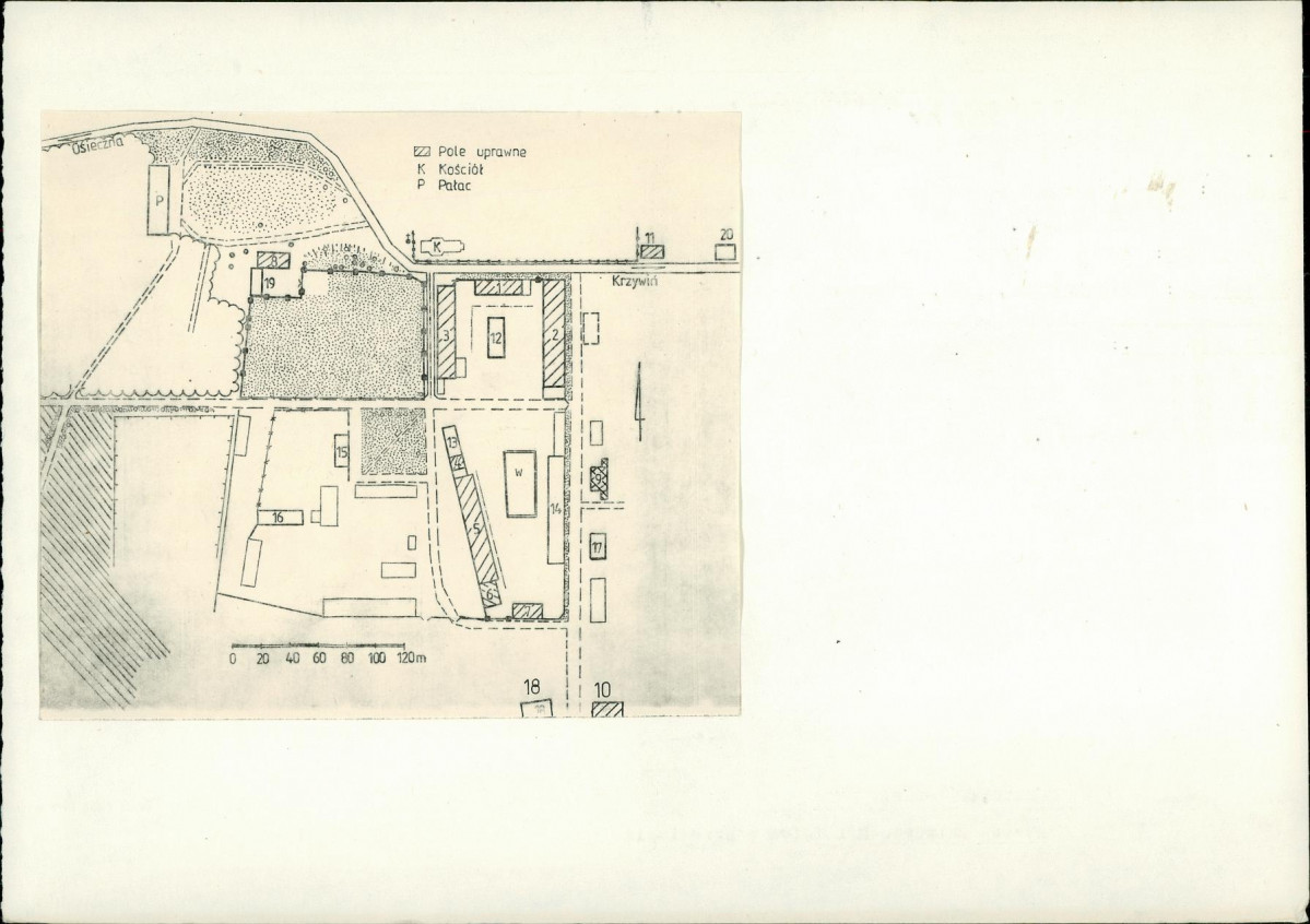 Karta biała, skan nr 6