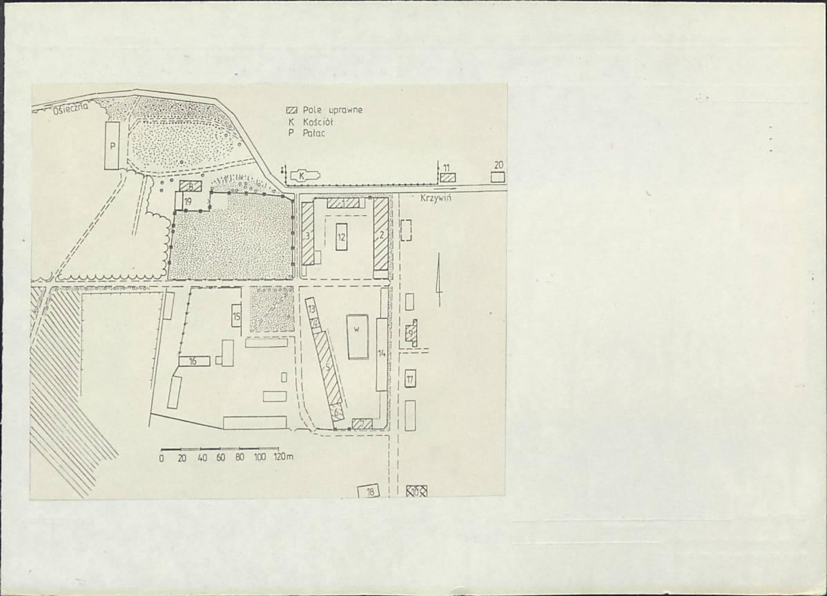 Karta biała, skan nr 6