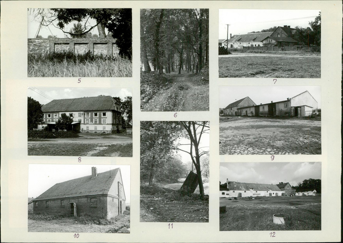 Karta biała, skan nr 6