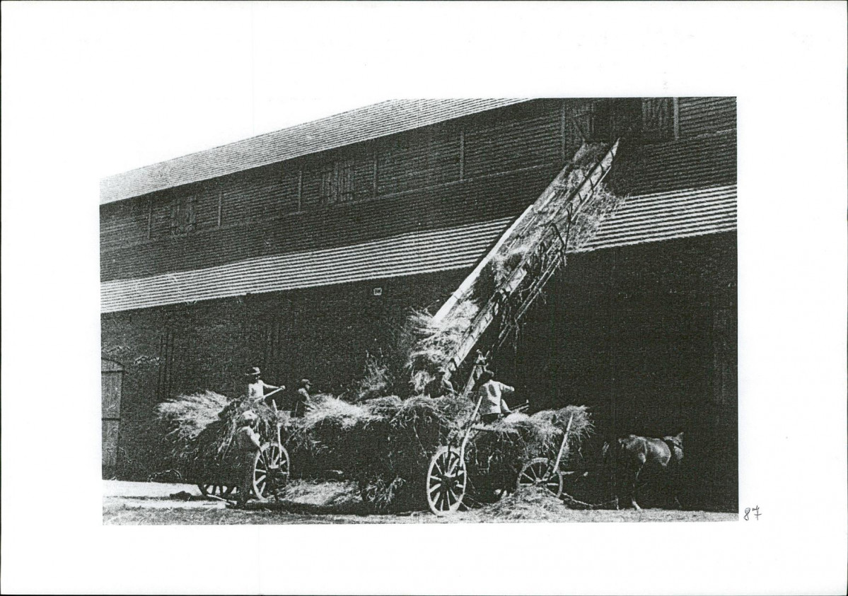 KB - Karta biała, skan nr 50