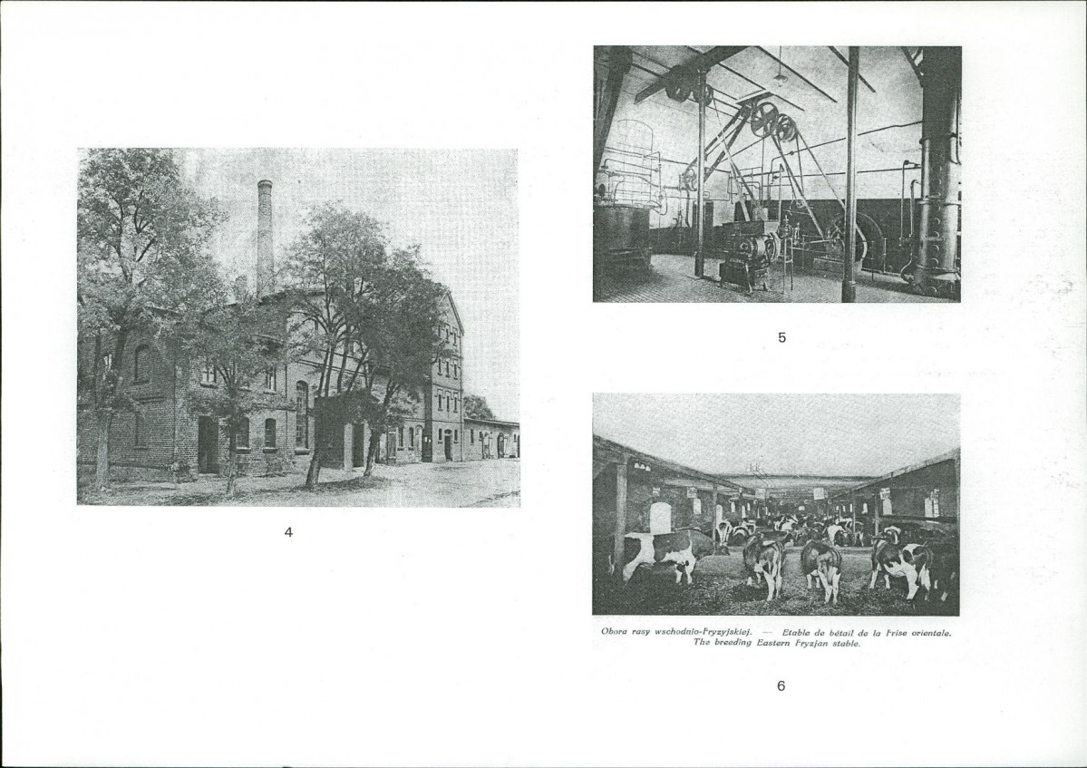 KB - Karta biała, skan nr 10