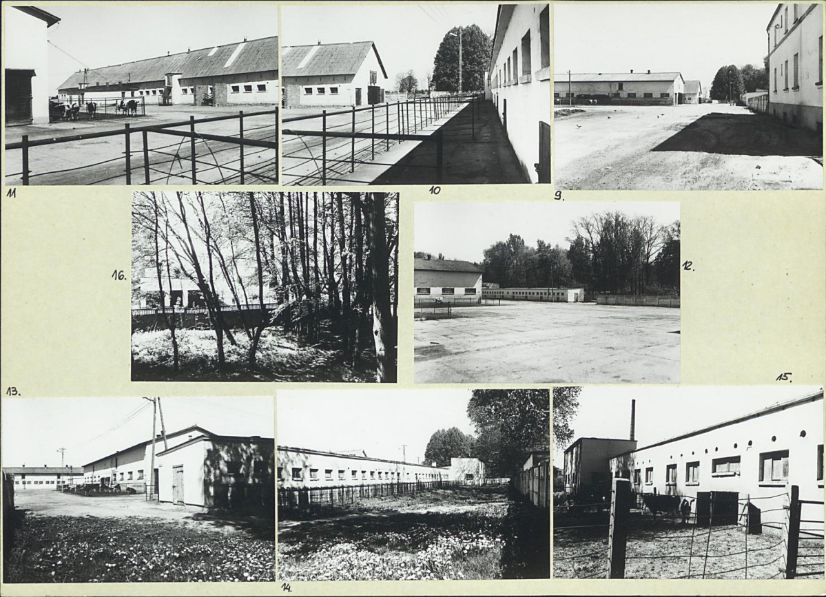 Karta biała, skan nr 8