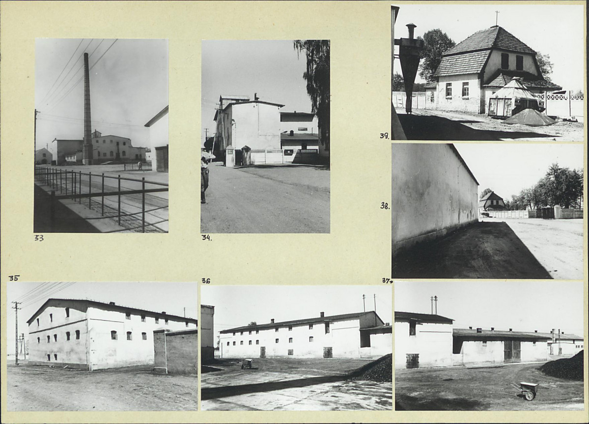 Karta biała, skan nr 14
