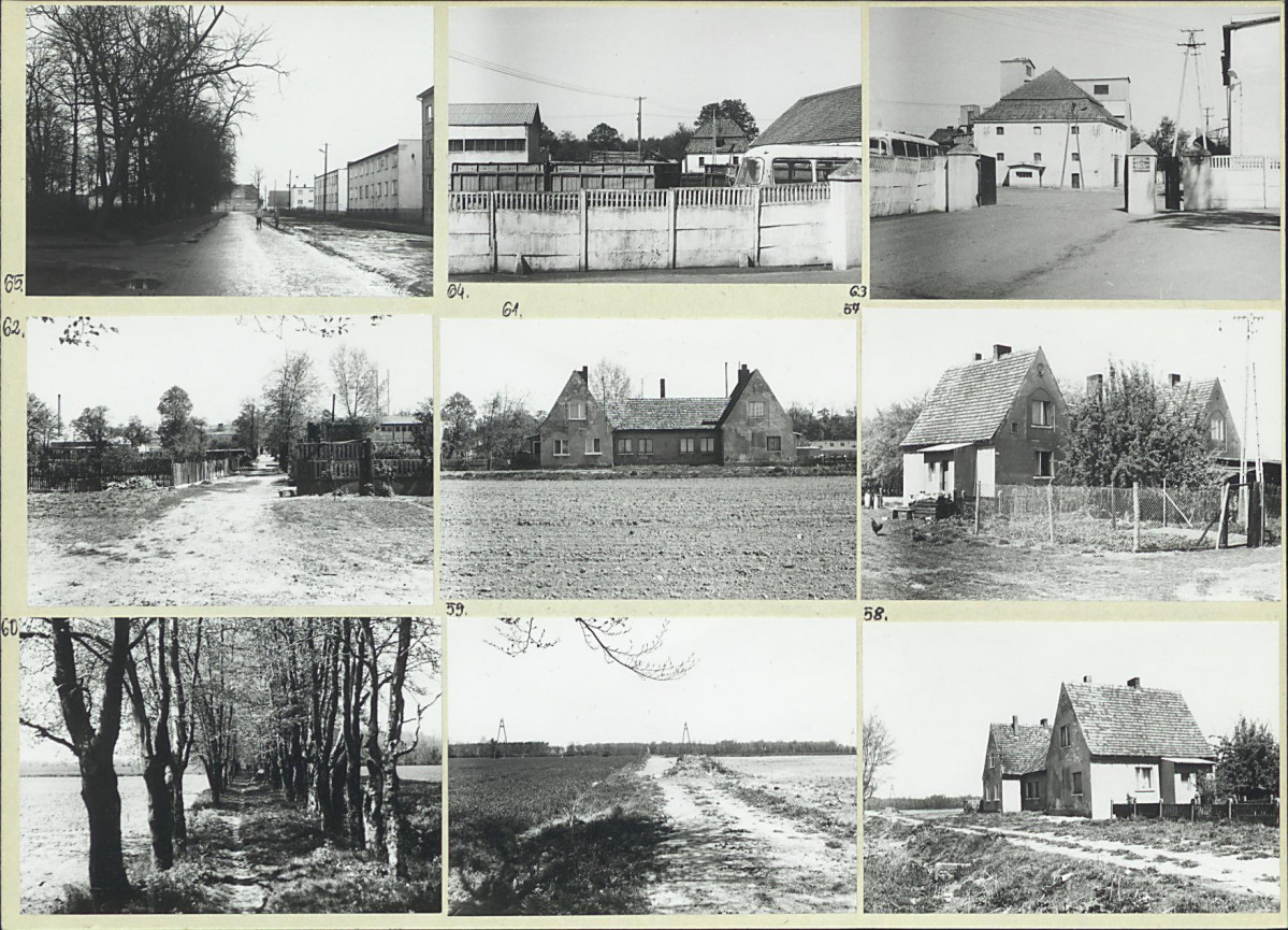 Karta biała, skan nr 20