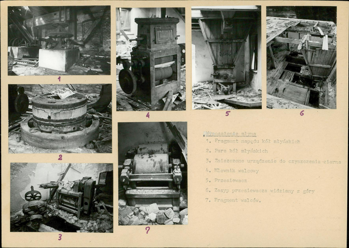 Karta biała, skan nr 6