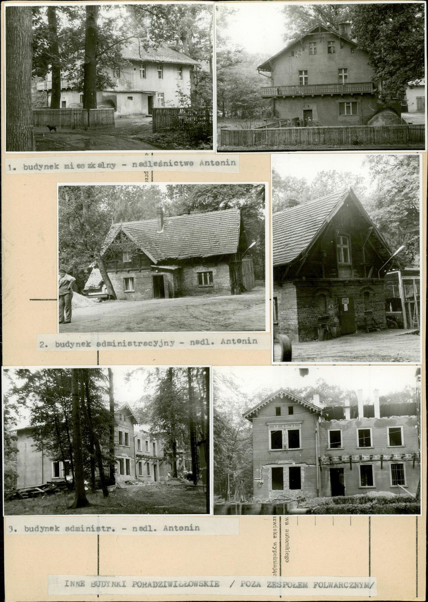 Karta biała, skan nr 19