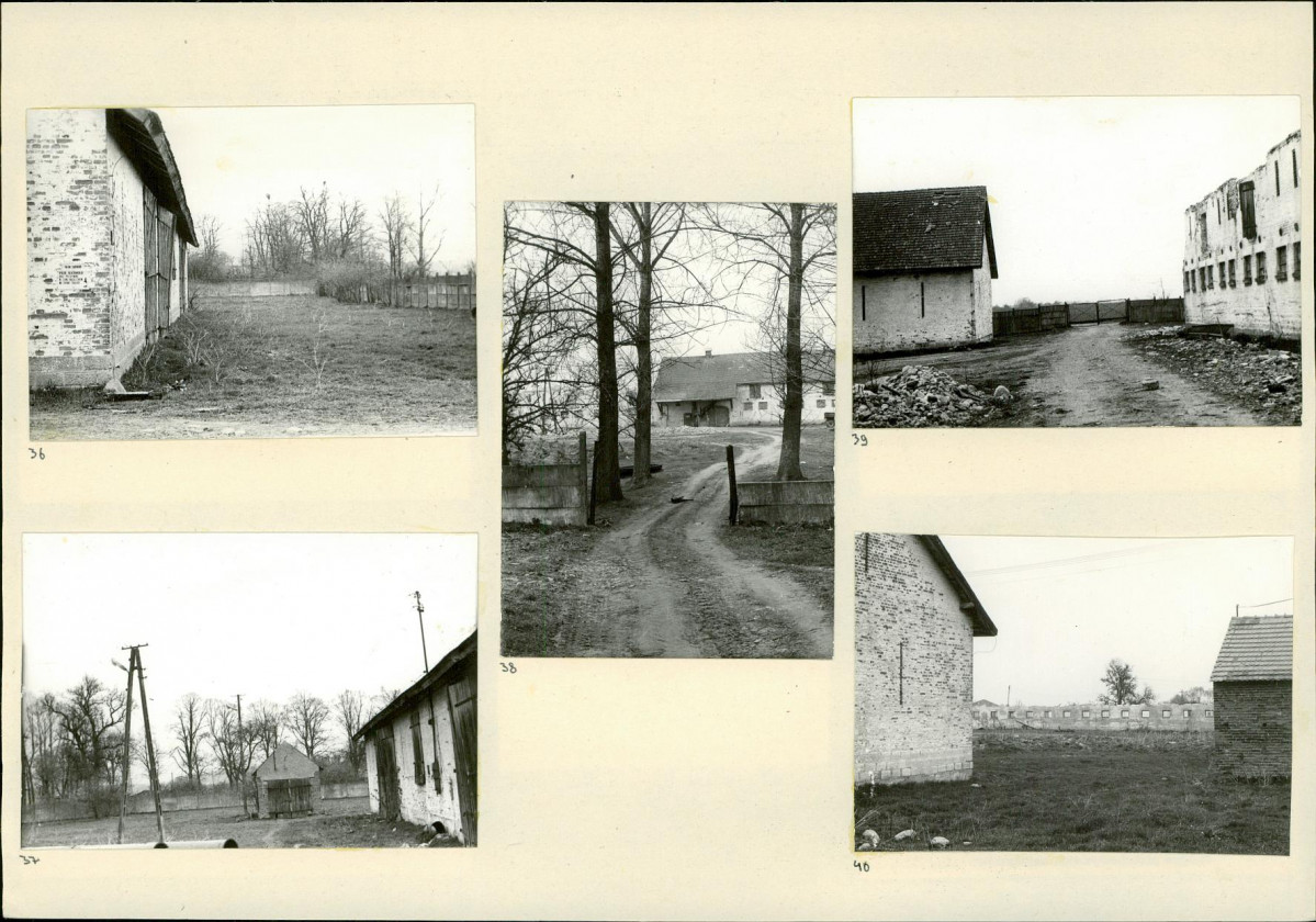 Karta biała, skan nr 14