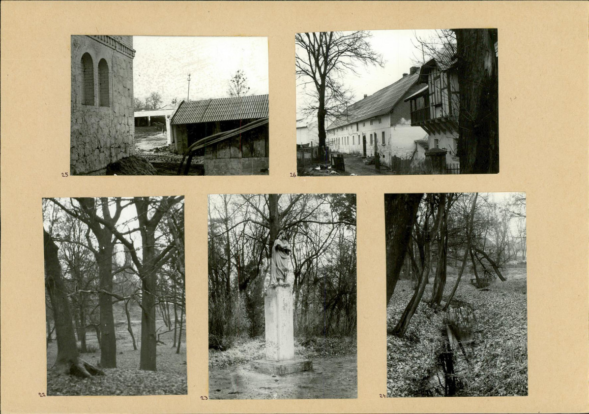 Karta biała, skan nr 14