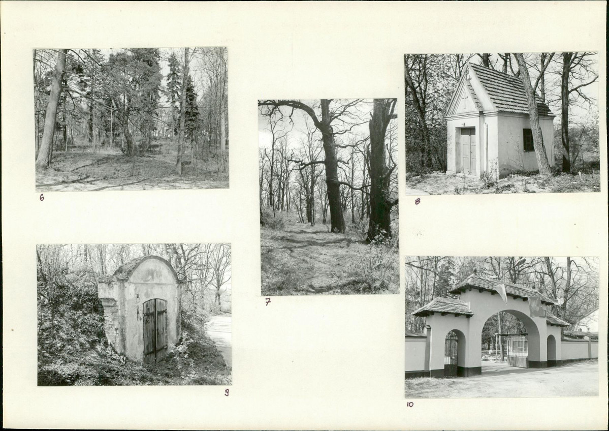 Karta biała, skan nr 8