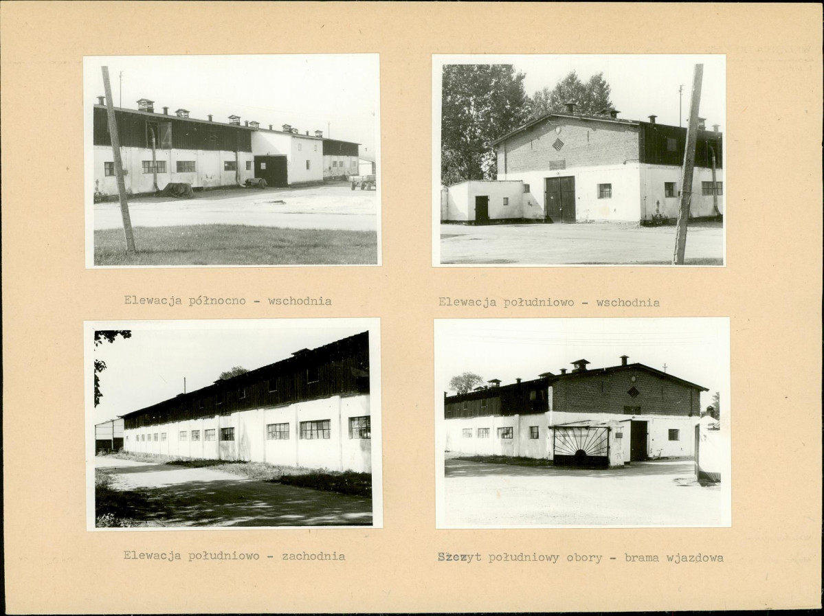 Karta biała, skan nr 6