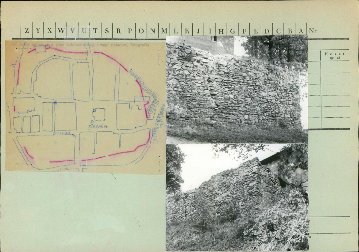 Karta zielona, skan nr 2