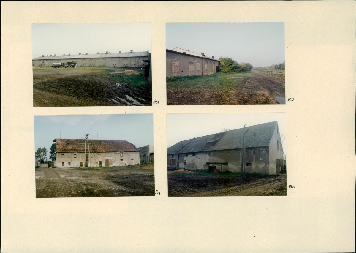 Karta biała, skan nr 28