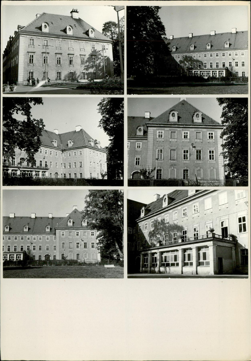 Karta biała, skan nr 8