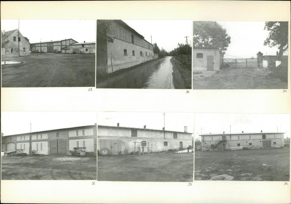 Karta biała, skan nr 12