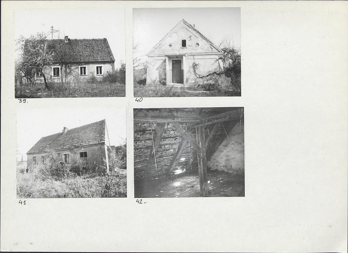 Karta biała, skan nr 21