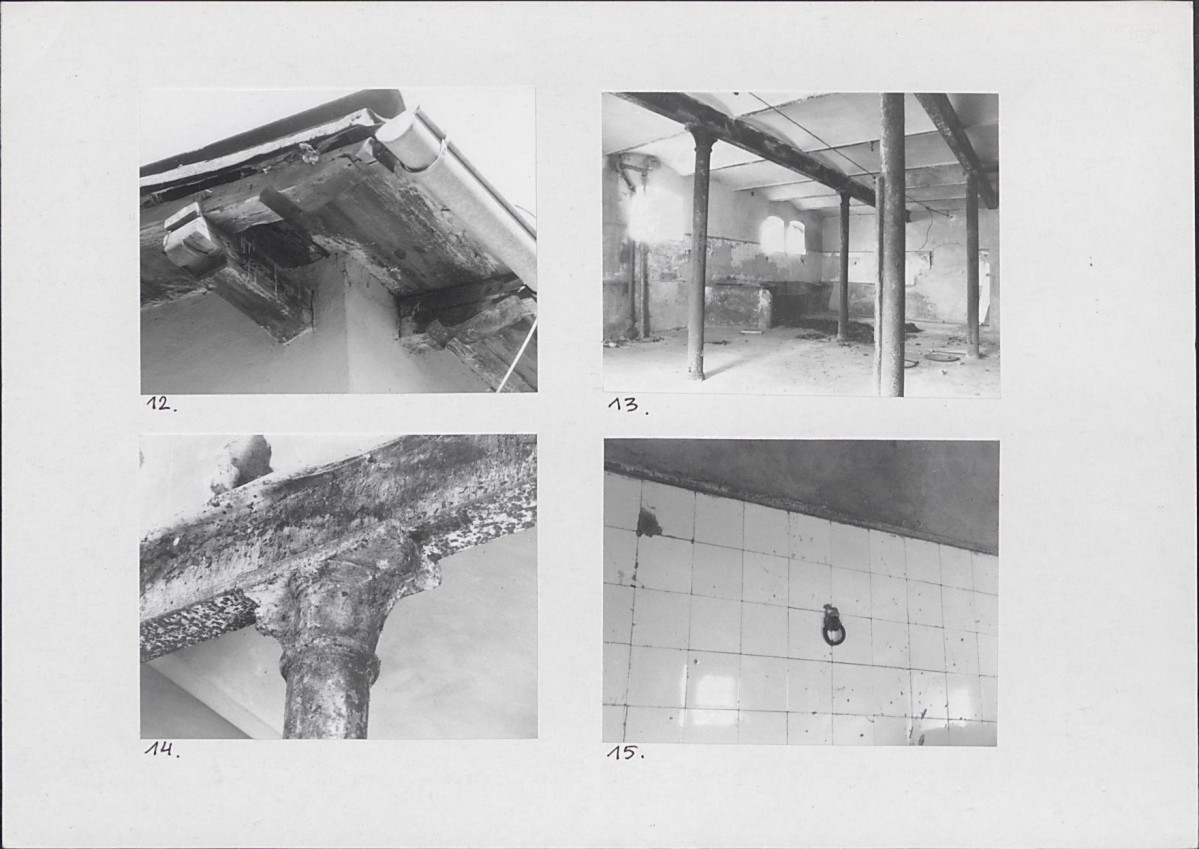 Karta biała, skan nr 10