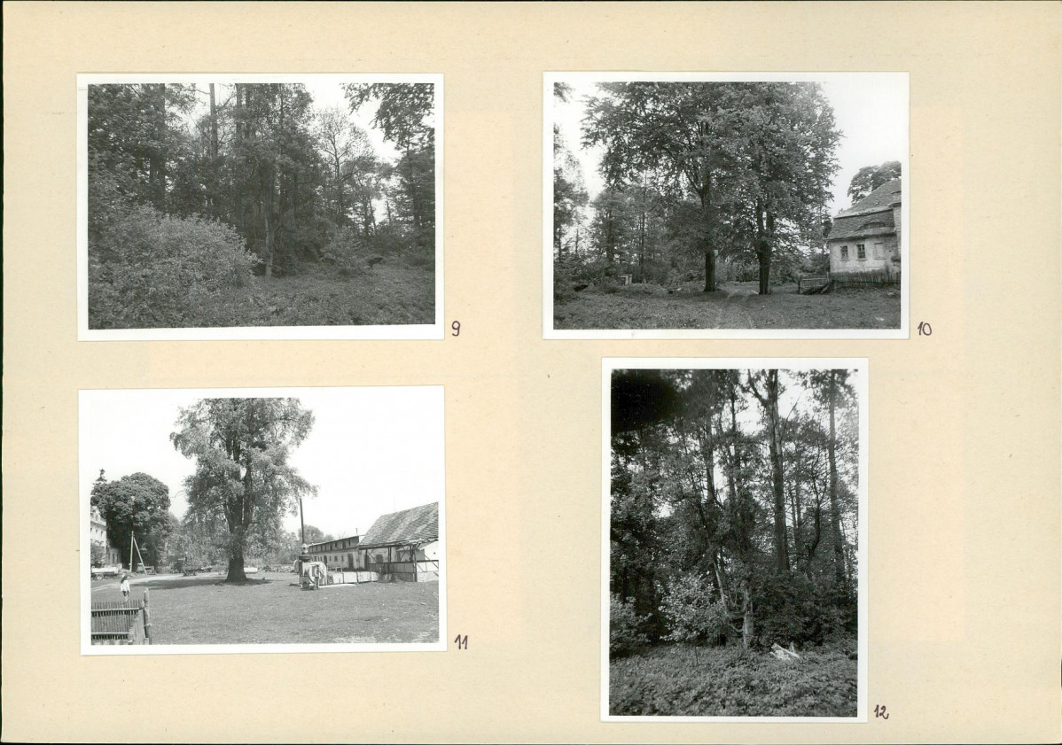 Karta biała, skan nr 10