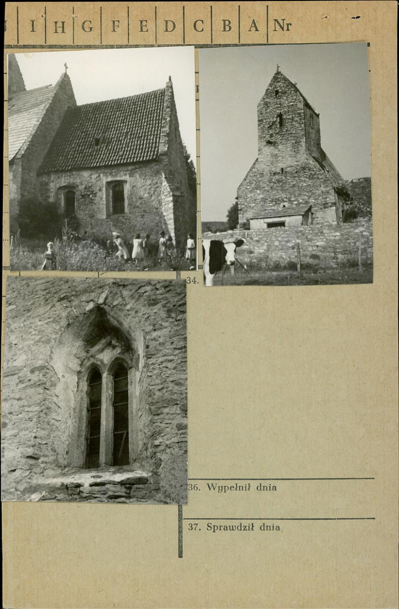 Karta zielona, skan nr 3