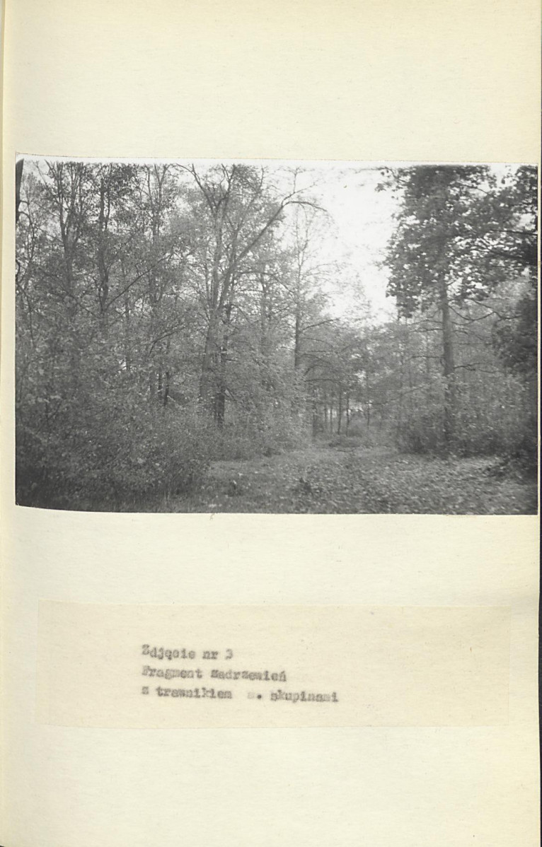 EP - Ewidencja parkowa, skan nr 32