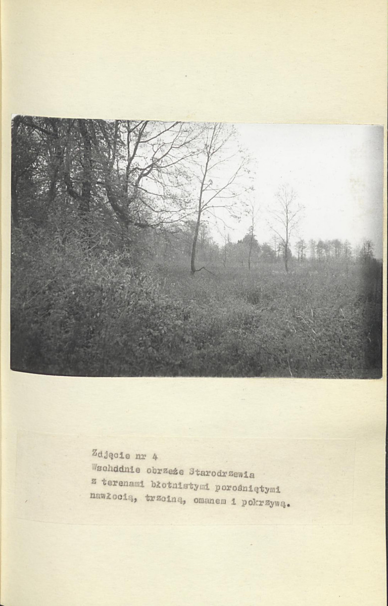 EP - Ewidencja parkowa, skan nr 33