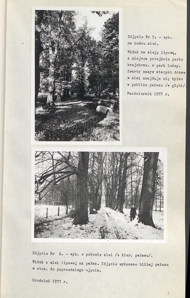 Ewidencja parkowa, skan nr 28