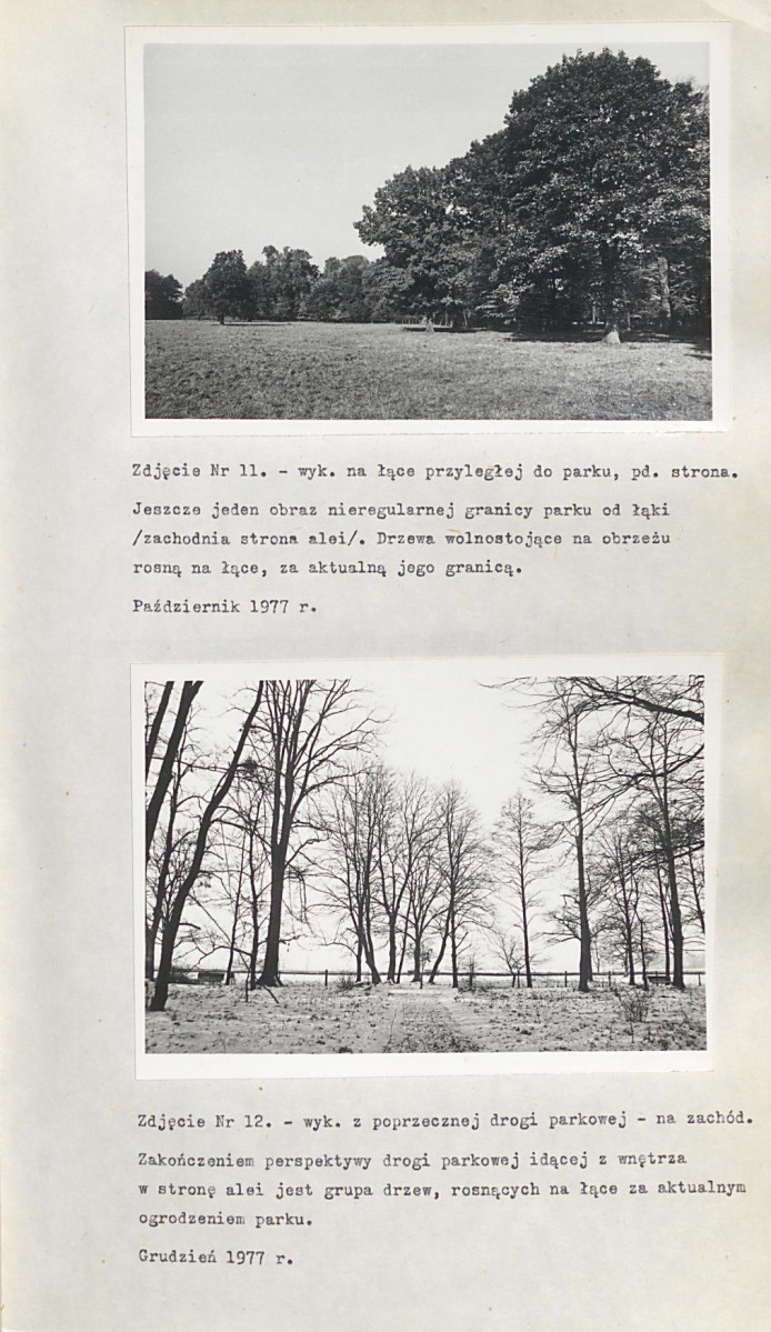 Ewidencja parkowa, skan nr 31