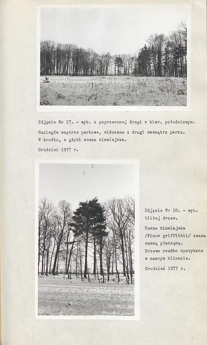 Ewidencja parkowa, skan nr 34